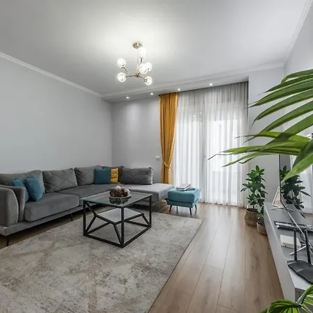 Luxurious Modern *